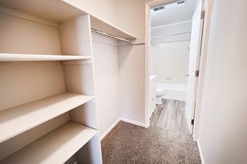 A white closet with shelves and a carpeted floor.